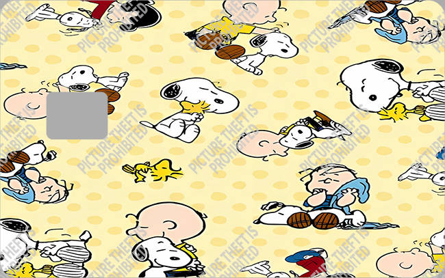 Bank  Card Sticker-BC-3987